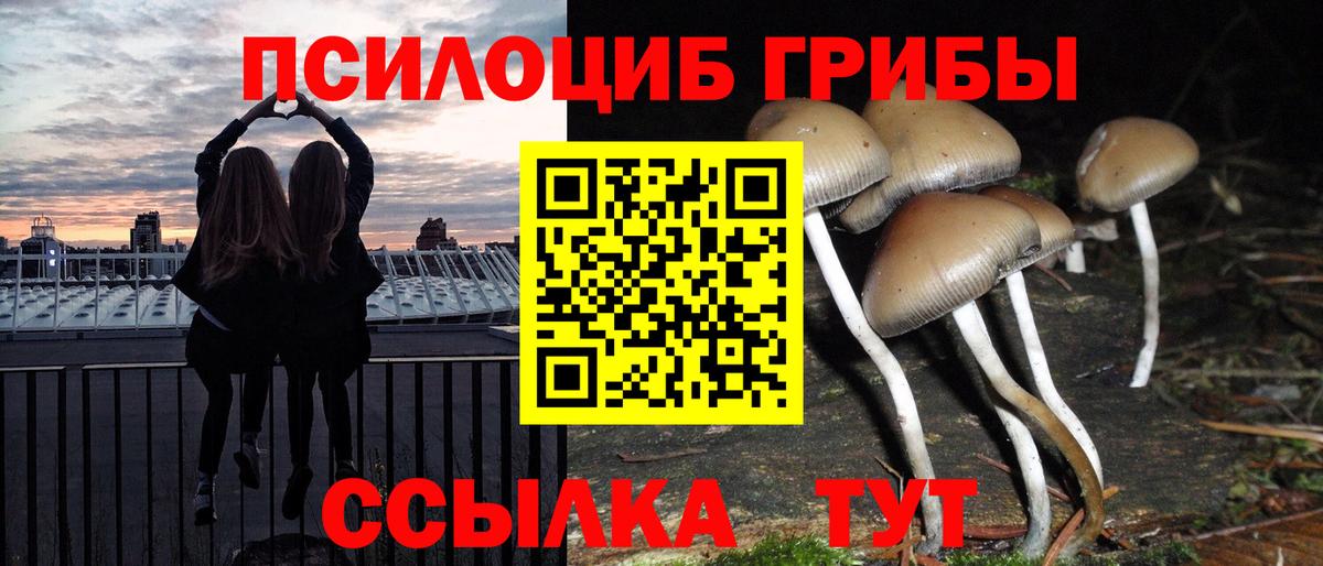 Галлюциногенные грибы Cubensis Каспийск