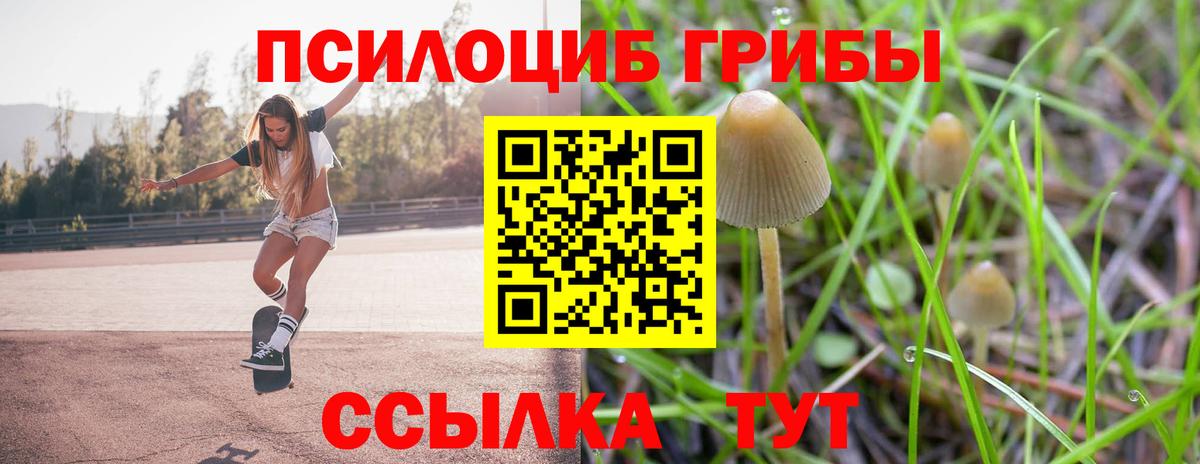 купить наркотик  Псилоцибиновые грибы мухоморы  Каспийск  Вход с VPN  Псилоцибиновые грибы Magic Shrooms 